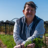 Chef Annie Smithers growing vegetables for her Trentham restaurant, Du Fermier.