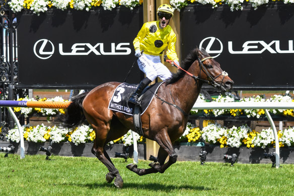 Without A Fight, ridden by Mark Zahra, wins the Melbourne Cup.