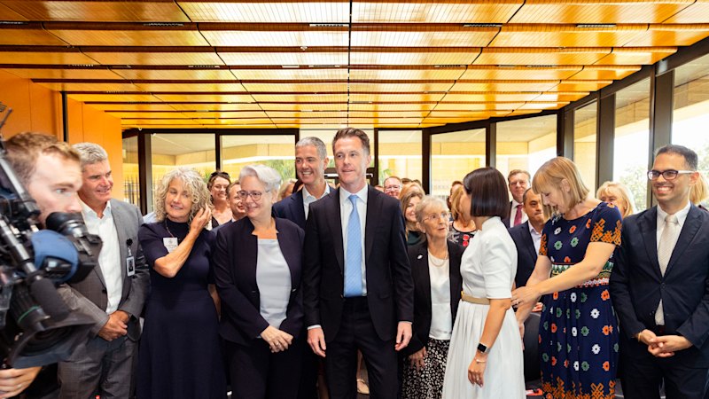 Labor gender rules could spell early retirement for male MPs ‘making up the numbers’