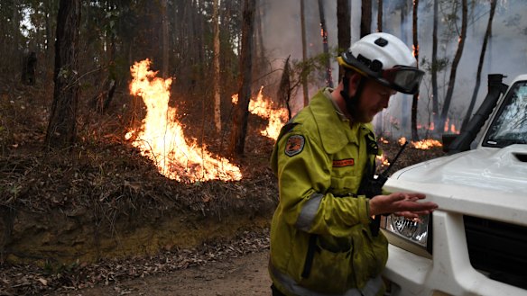 National Parks and Wildlife Service staff burning containment lines ahead of the fire front at Burrill Lake on Sunday.