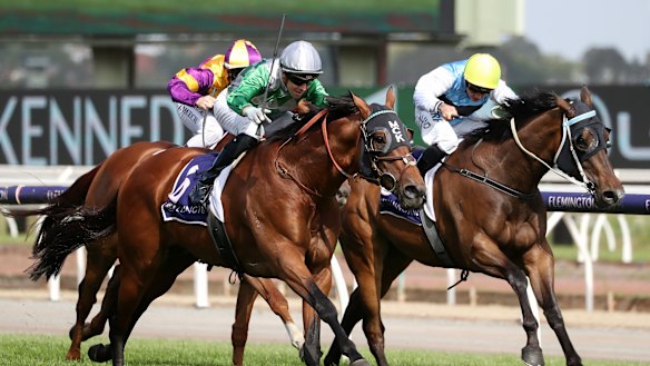 Flemington Racecourse.