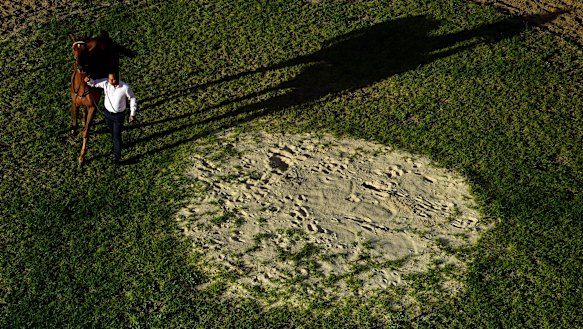 Verry Elleegant’s great rival, the William Haggas-trained Addeybb.