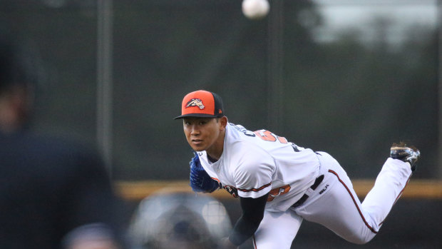 Cavalry starter Shota Imanaga pitched six perfect innings in the win.