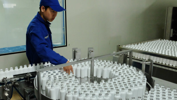 Bottles of cockroach essence "healing potion" make their way through the production line.