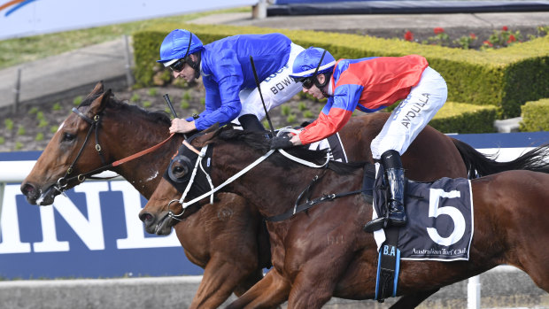 Invincible Gem runs Alizee to a half-neck on the line in the Missile Stakes.