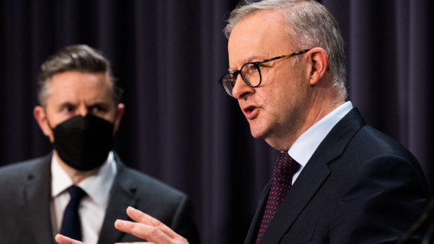 Health Minister Mark Butler and Prime Minister Anthony Albanese.