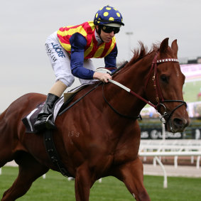 Getting closer: Nature Strip's owners have been contacted by an Everest slot holder 