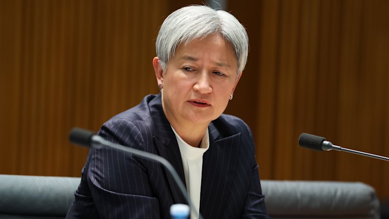 Wong says she believes Australian activists were sexually abused by Israeli soldiers