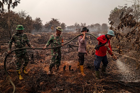 Indonesian soldiers and police officers attempting to extinguish a peatland fire in Mempawah this month.