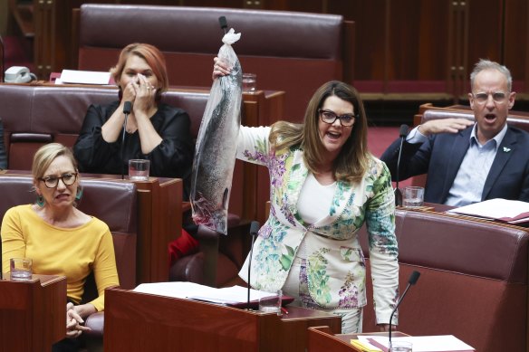 The Greens’ environment spokesperson Sarah Hanson-Young holds up a salmon during question time in the Senate.