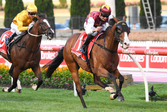 Streets ahead: Streets of Avalon wins at Moonee Valley.