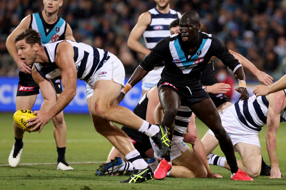 Tom Hawkins gathers the ball for Geelong.