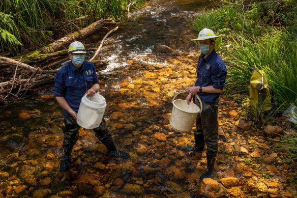 Dr Tarmo Raadik (left) and Dr James Shelley. 