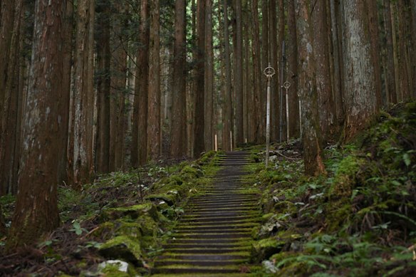 Cenário montanhoso da vila de Tenkawa, no Japão, onde Luigi Mangione se hospedou em uma pequena pousada.