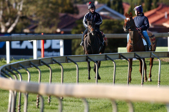 Horses Vinnie Roe (left) and Media Puzzle prepare for the 2002 Melbourne Cup at Sandown