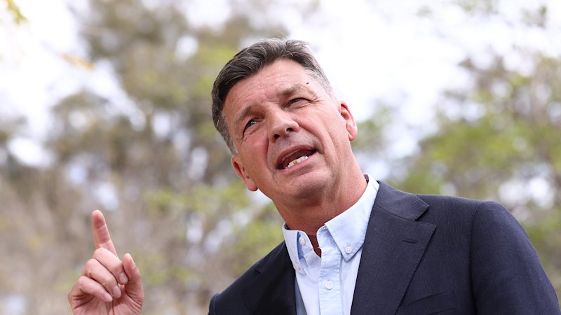 Australia news LIVE: Coalition to slash immigration, Greens under fire for Ukraine stance