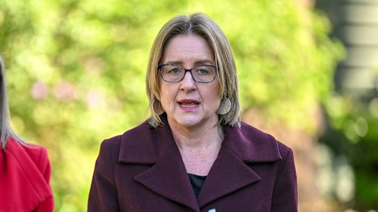 Victorian planning laws: Neighbours lose appeal rights in new laws to slash  planning approval times
