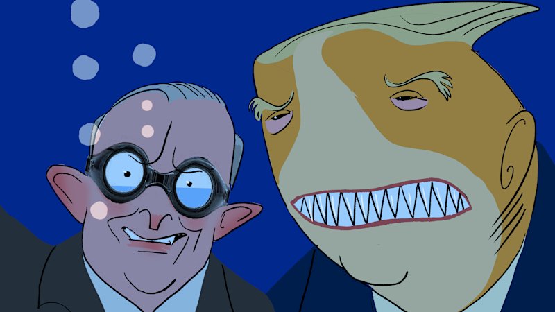 Trump Albanese Meeting: No Need to Rush, Prime Minister - It Could ...