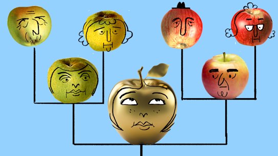 Family trust structures are full of complexities, but mistakes can be costly.