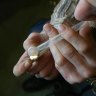 Ice use declined in Queensland early in the pandemic but has since rebounded.