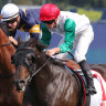 Race-by-race preview and tips for Rosehill on Saturday