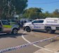 An armed man has been shot dead by police after an incident in Townsville, Queensland.