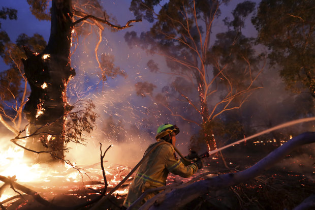 ACT firefighters bringing the North Black Range fire near Braidwood, NSW, under control in early December. It flared up again just days later.