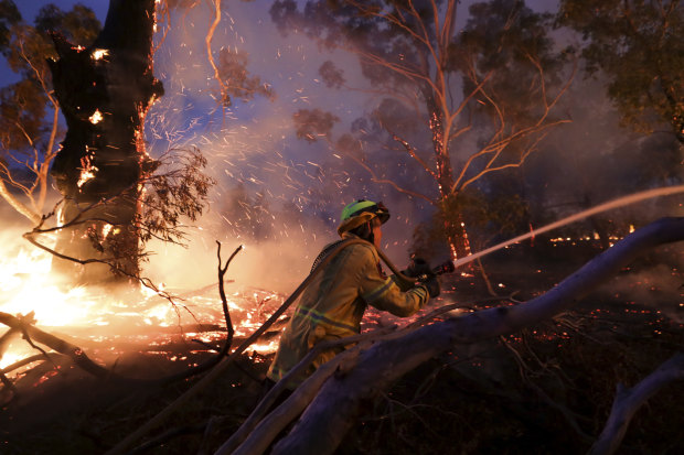 Photo: Alex Ellinghausen.