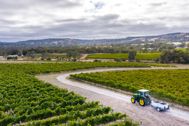 Yangarra Estate Vineyard in McLaren Vale.