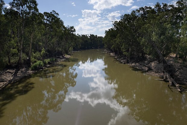 Freshwater fervour: I’ve always thought there’s a certain etiquette observed by us “freshies” that’s not understood by the “salties”.

