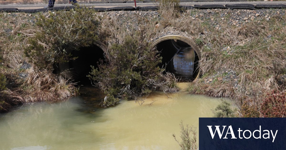 Snowy Hydro hit with fines for polluting waterway in national park - Vimarsana News