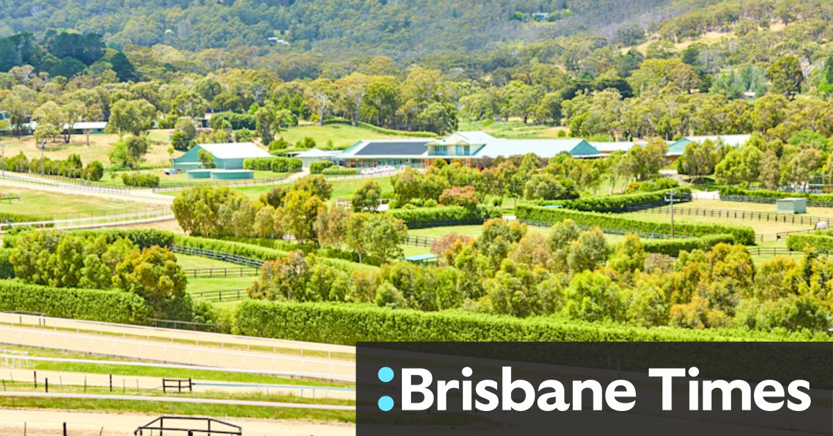 Macedon Lodge trots back to the sales yard - Vimarsana News