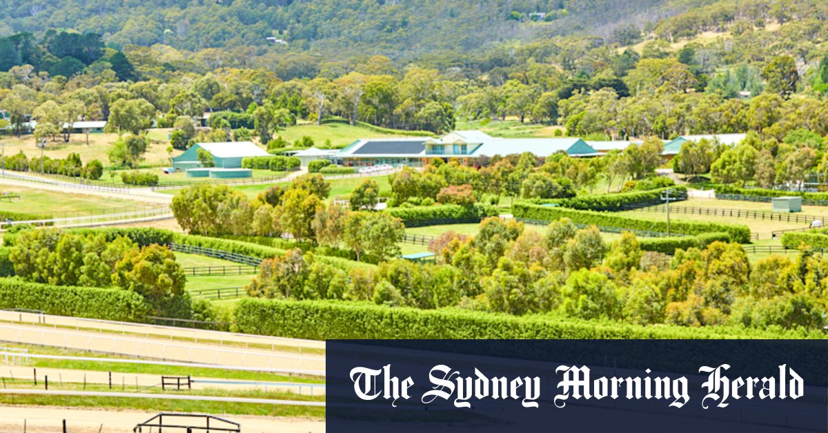 Macedon Lodge trots back to the sales yard - Vimarsana News