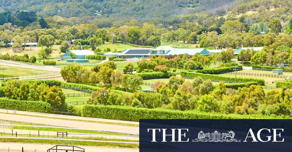 Macedon Lodge trots back to the sales yard - Vimarsana News