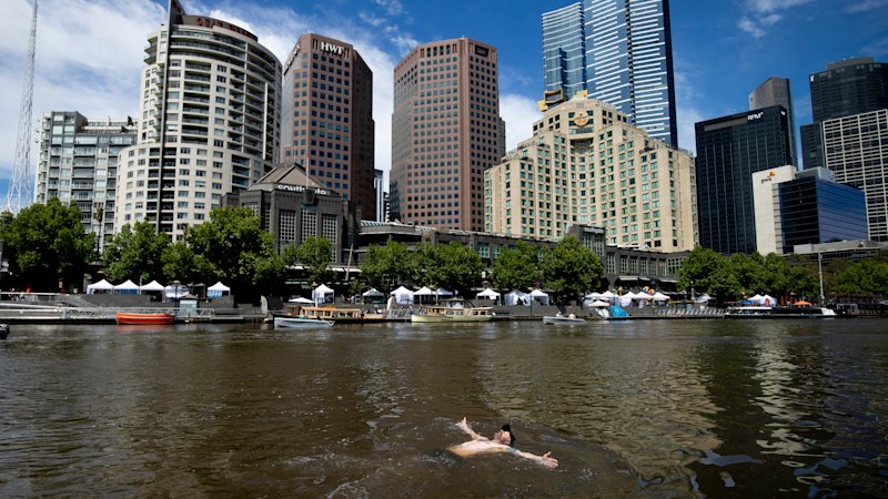 They’re the dirtiest parts of the Yarra River. Could they ever be safe enough for swimming?