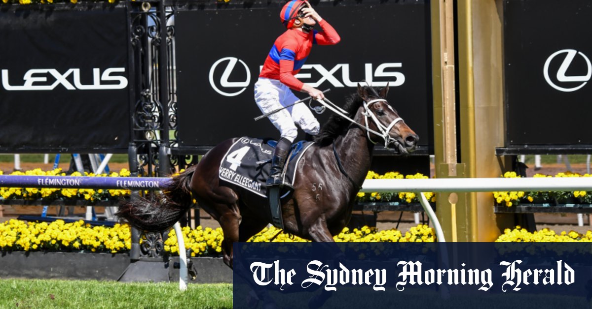 Top five talking points from the spring racing carnival