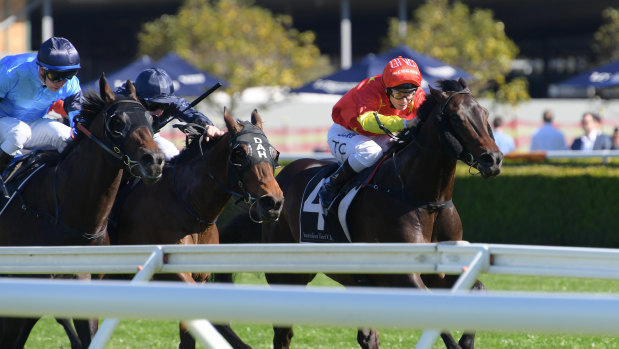 Off the mark: Mandela storms down the outside to win at Randwick.