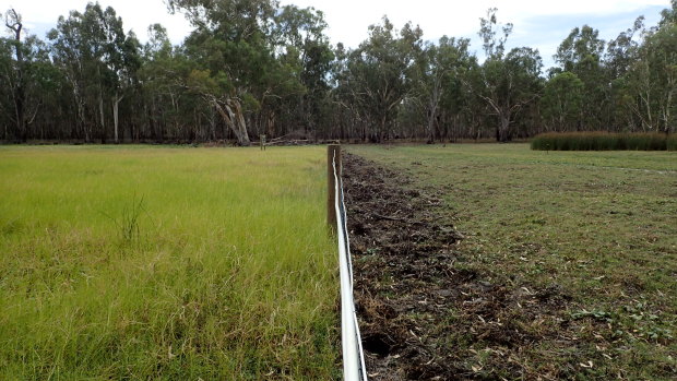 The fenceline at Little Rushy Swamp shows the damage caused by feral horses. 