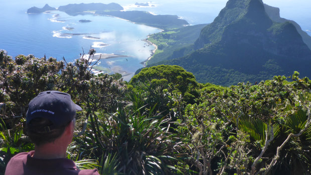 The former Planning employee feared contamination of Lord Howe Island before his employment was terminated.