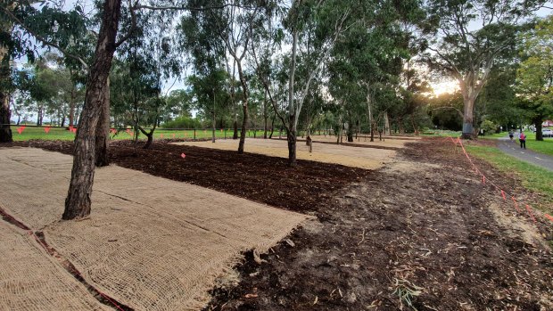 The different plots soon after sowing.