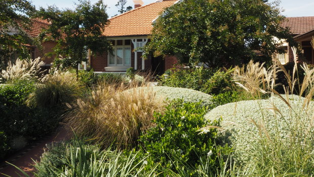 Christopher Owen designed a front garden in Sydney’s inner west using seasonal plants.