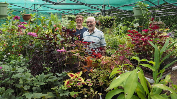 Maureen and Keith Smith would rather sell plants than have an immaculate garden.