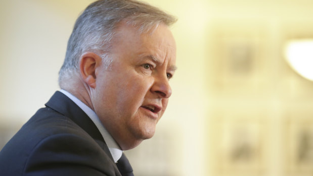 Opposition Leader Anthony Albanese is pushing the Morrison government to offer more support for struggling Australians and businesses through an "eight-point" economic plan.