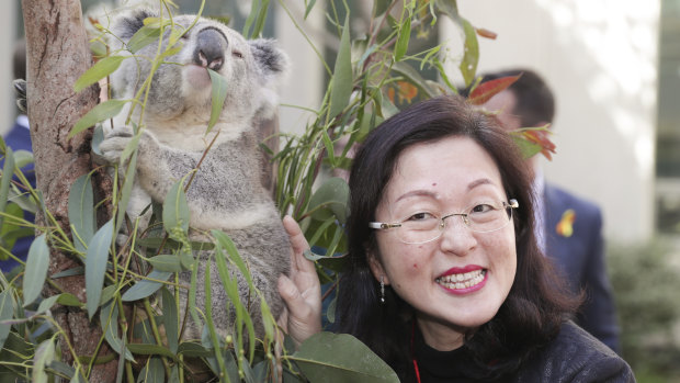 Liberal MP Gladys Liu poses with a koala during an event to mark National Threatened Species Day on Tuesday.
