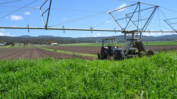 The Mulgowie Farming Company, which grows 30 per cent of  south-east Queensland's vegetables.