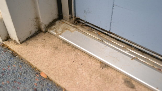 Cobwebs, dust and dirt accumulating on a school door.