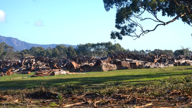 Tree removal along the Western Highway between April and June in 2015 during the first stage of duplication works,  between Beaufort and Buangor. 