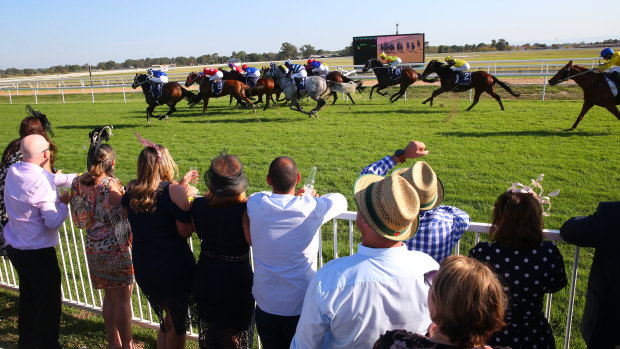 Home and hosed: Racing returns to Hawkesbury on Sunday with a seven-race card.