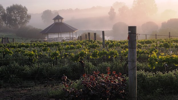 Sittella Wines is a small family winery in Western Australia's Swan Valley. 