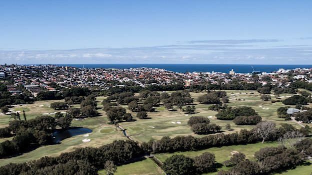 Long-established trees make Royal Sydney’s course “an ark”, says one redevelopment opponent. “There’s a lot of habitat in there that supports the remnant wildlife.” 